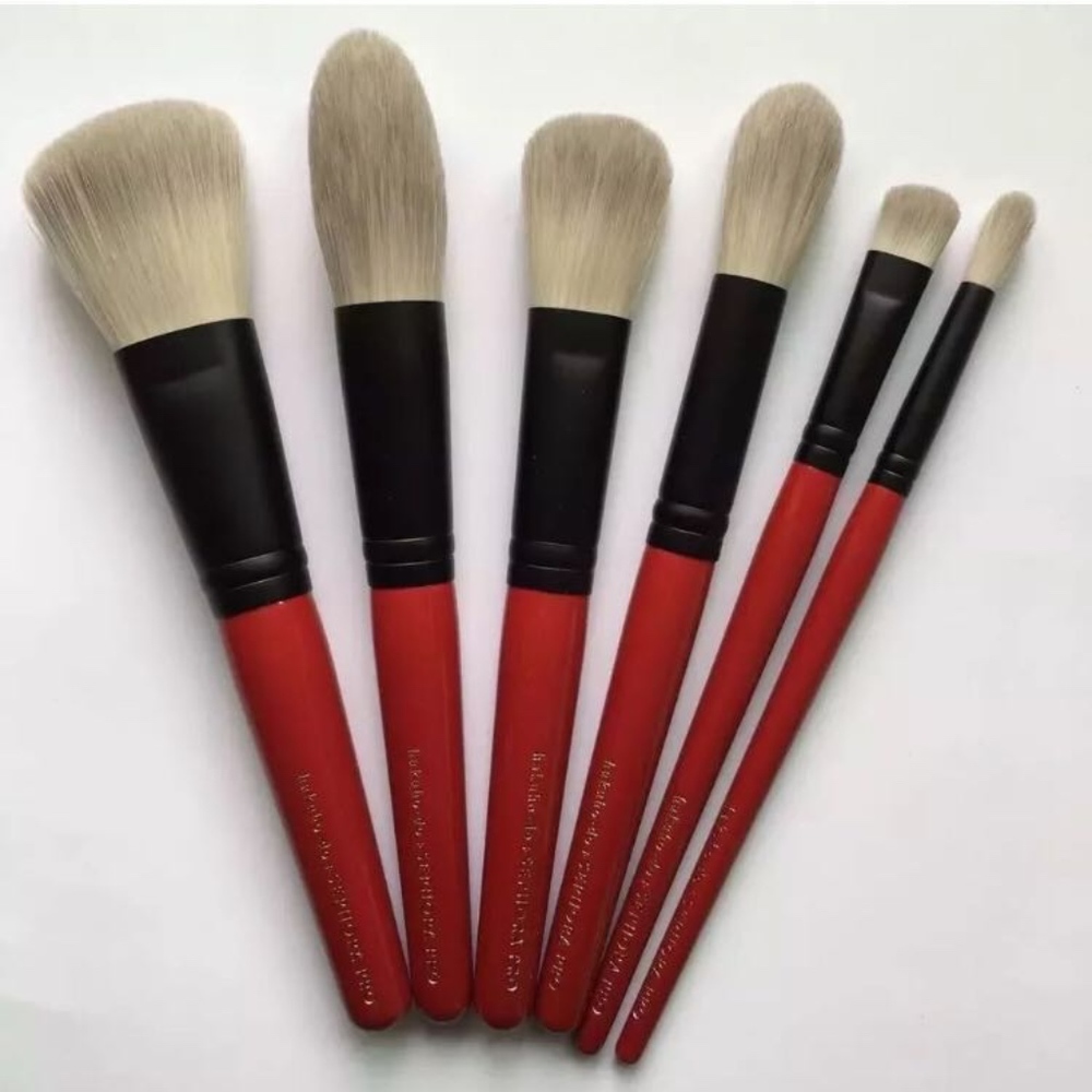 Brand New Hakuhodo Sephora 6 Brushes Set.